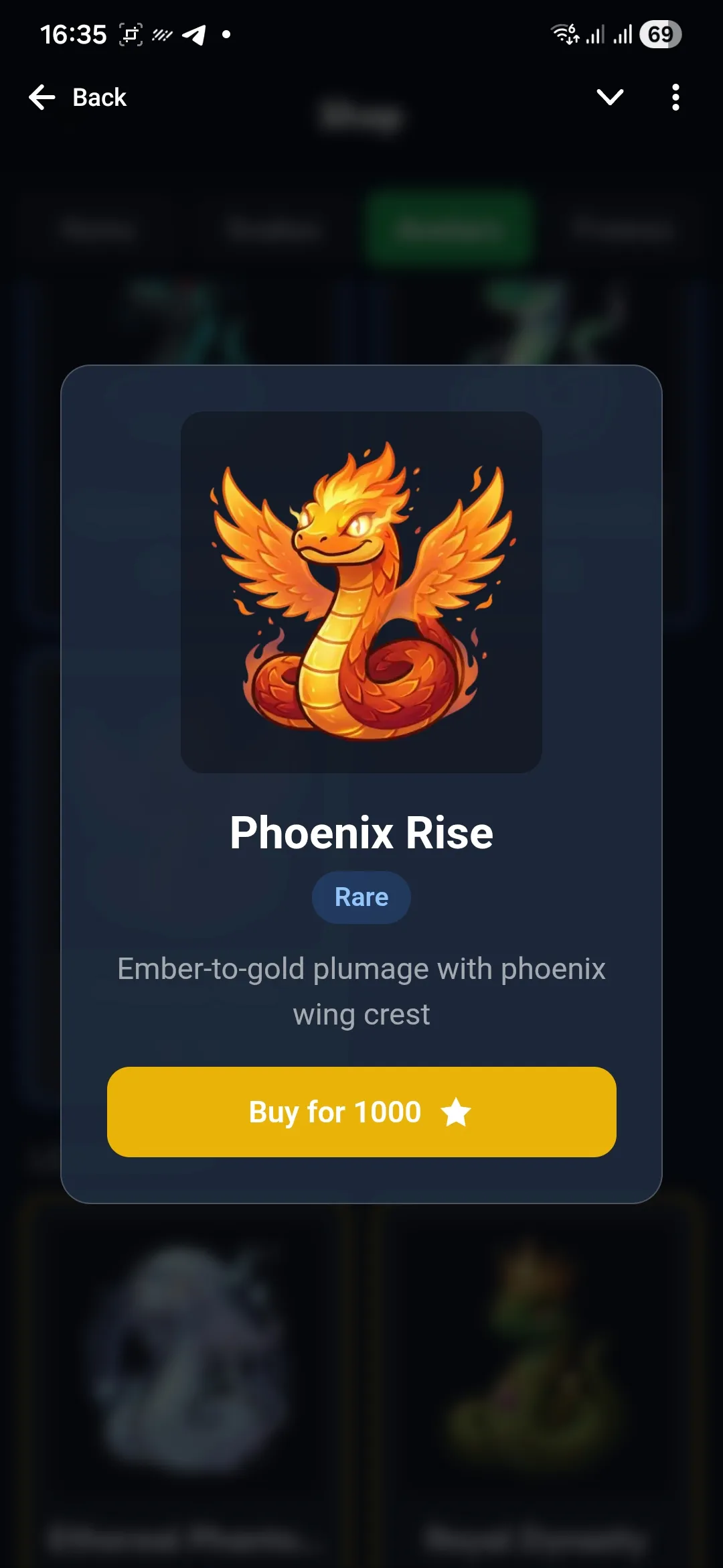 Avatar detail modal in the shop